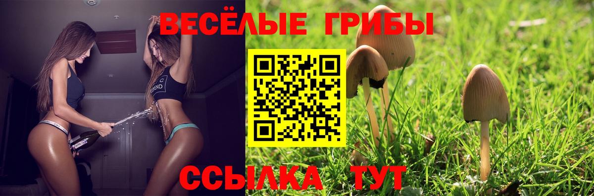 Галлюциногенные грибы Psilocybine cubensis Строитель