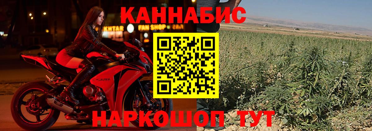 Конопля Amnesia  Канабис гибрид  Строитель  Бошки Шишки MAZAR  Вход с VPN 